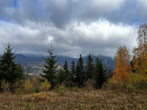 ділянка за адресою с. Яблуниця, Діл