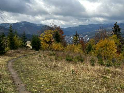 ділянка за адресою с. Яблуниця, Діл