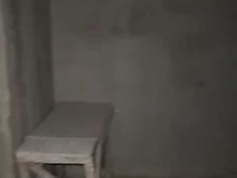 1879475170789295