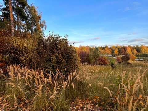 ділянка за адресою Вишнева вул. (Леніна)