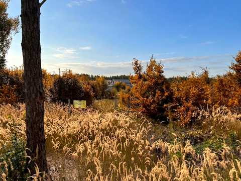 ділянка за адресою Вишнева вул. (Леніна)