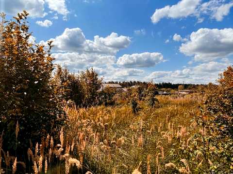 ділянка за адресою Вишнева вул. (Леніна)
