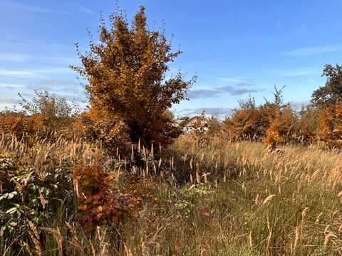 ділянка за адресою Вишнева вул. (Леніна)