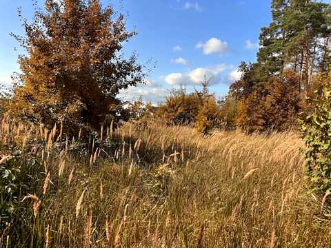 ділянка за адресою Вишнева вул. (Леніна)