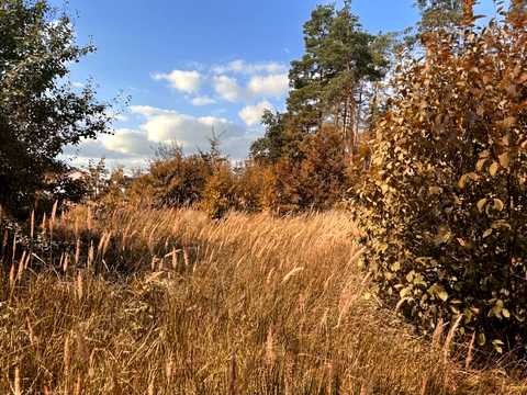 ділянка за адресою Вишнева вул. (Леніна)