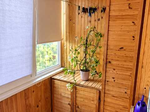 квартира по адресу Анатолия Соловьяненко ул. (Олександра Бойченка), 8