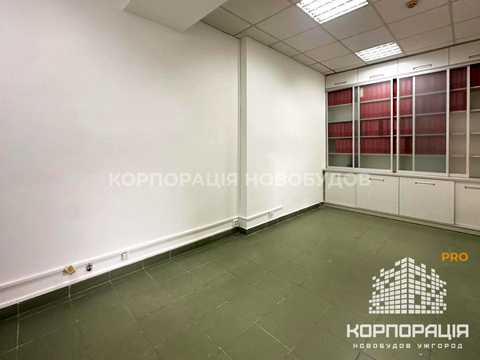комерційна за адресою Ужгород, Августина Волошина вул., 24