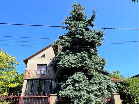 будинок за адресою Высоцкого