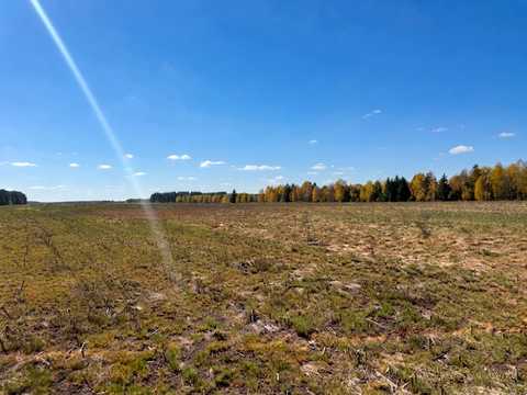 ділянка за адресою с. Дружня, Богдана Хмельницького