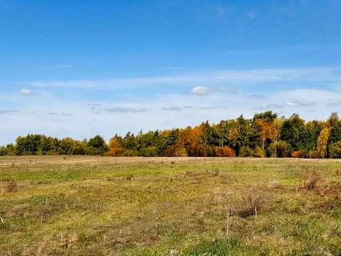 ділянка за адресою с. Дружня, Богдана Хмельницького