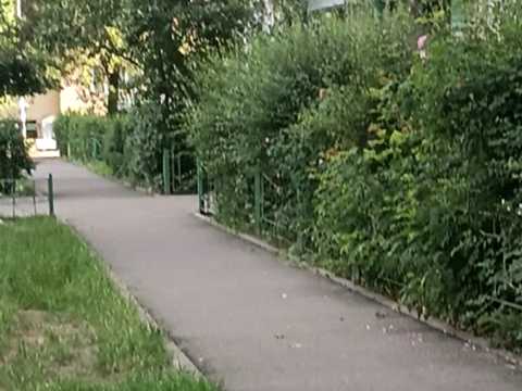 квартира по адресу Оболонский просп., 31