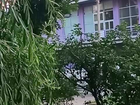 квартира по адресу Оболонский просп., 31