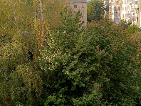 квартира по адресу Русская ул., 235-Б