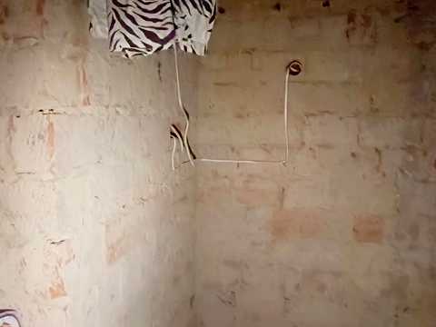 квартира по адресу Русская ул., 235-Б