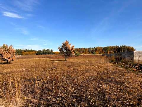 ділянка за адресою с. Дмитрівка,