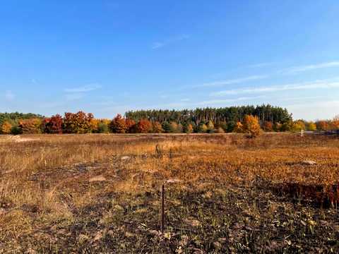 ділянка за адресою с. Дмитрівка,