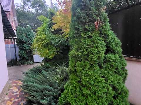 дом по адресу Будівельників ул.