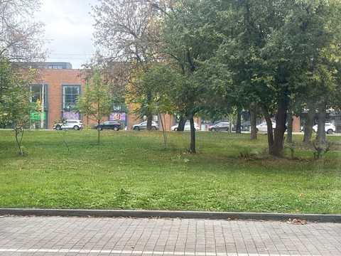 комерційна за адресою Львів, Стрийська вул., 106