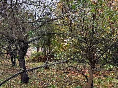 дом по адресу Яблоньская ул. (Кирова)