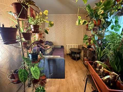 квартира по адресу Княгини Ольги ул., 7