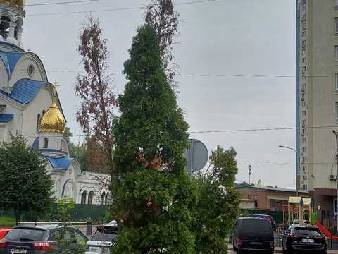 квартира по адресу Академика Глушкова просп., 9-Г