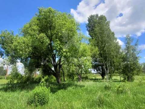 ділянка за адресою Хутірська вул. (Жовтнева), 10