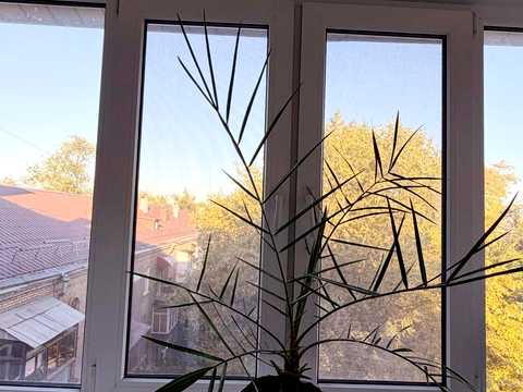 квартира за адресою Маяковського просп., 4