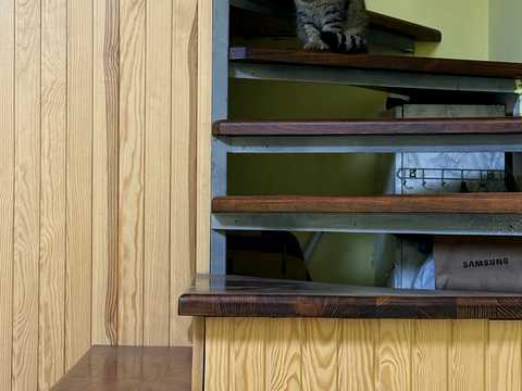 будинок за адресою с. Старий Білоус, Просторна