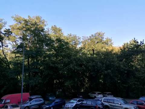 квартира по адресу Академіка Шалімова ул., 69-Б