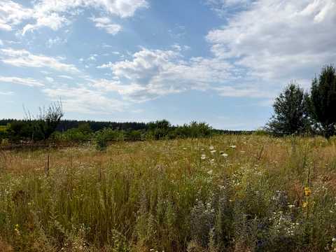 ділянка за адресою с. Блиставиця,