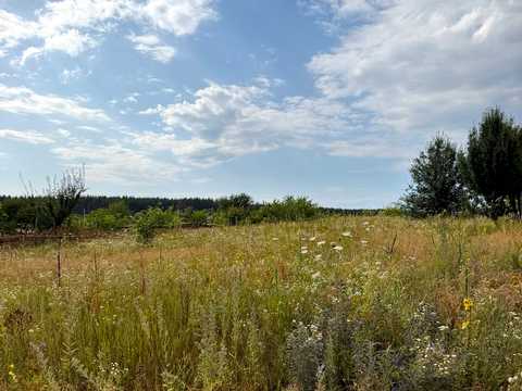 ділянка за адресою с. Блиставиця,