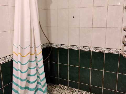 дом по адресу с. Софиевская Борщаговка, Садова