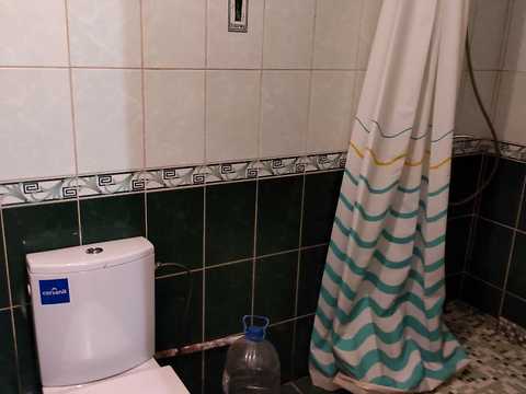 дом по адресу с. Софиевская Борщаговка, Садова