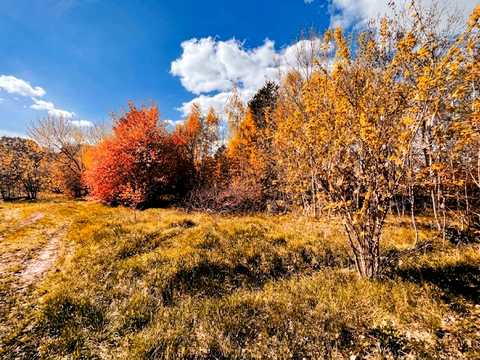 участок по адресу Щорса