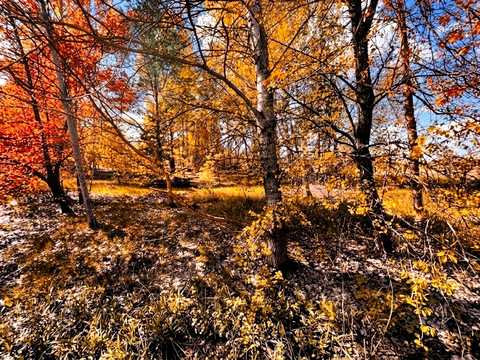 участок по адресу Щорса