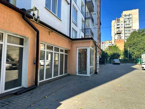 комерційна за адресою Панаса Мирного вул., 19А