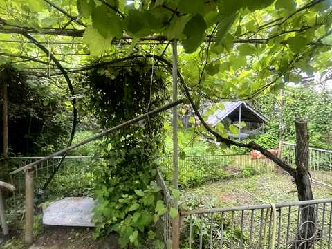 дом по адресу с.Гоголев