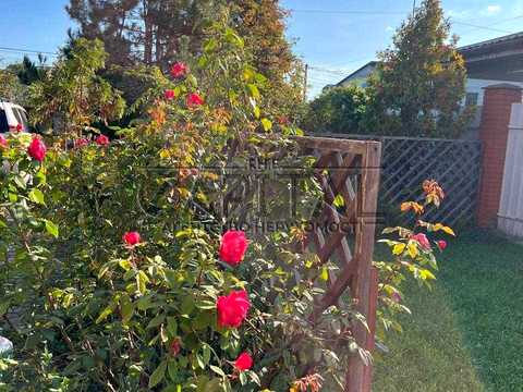 дом по адресу Центральная ул.