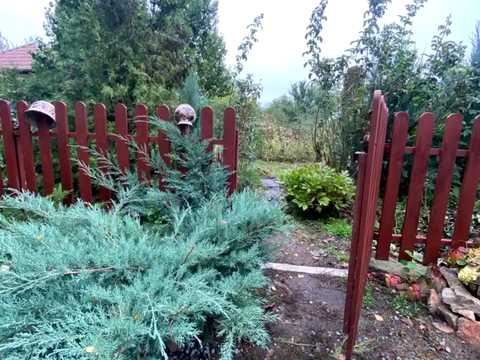 дом по адресу Броньова ул.