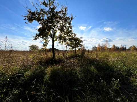 ділянка за адресою с. Михайлівка-Рубежівка, Вишнева