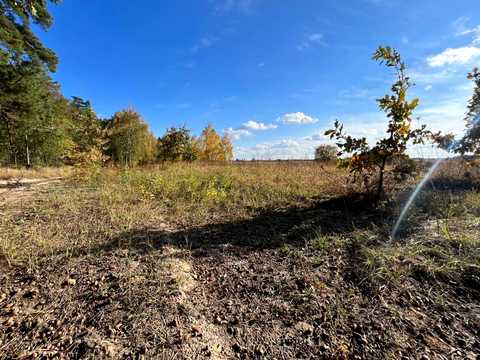 ділянка за адресою с. Михайлівка-Рубежівка, Вишнева