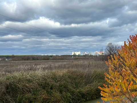 ділянка за адресою Ірпінь,