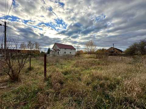 ділянка за адресою с. Дружня, Центральна вул. (Леніна)