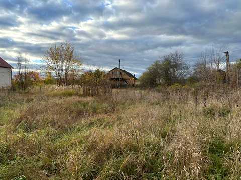 ділянка за адресою с. Дружня, Центральна вул. (Леніна)