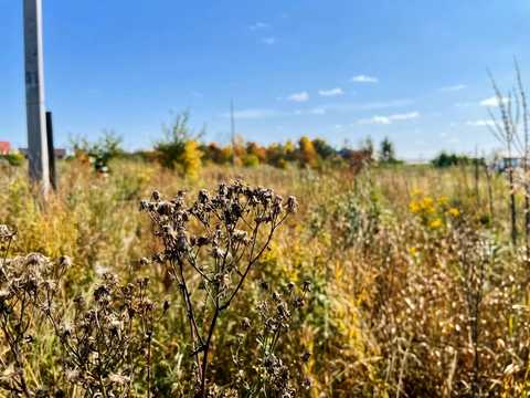 ділянка за адресою Златоустівська