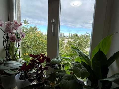 квартира за адресою Майора Пугача вул. (Ватутіна), 92