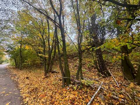 ділянка за адресою Березовиця / Будного С.