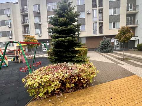 квартира за адресою Березова вул., 46
