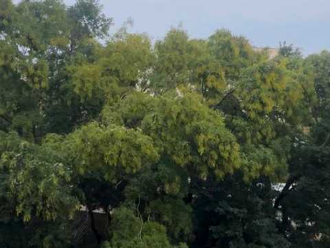 квартира по адресу Небесной Сотни просп. (Маршала Жукова), 75