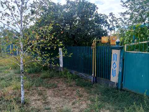 будинок за адресою с. Благодатне, Центральна